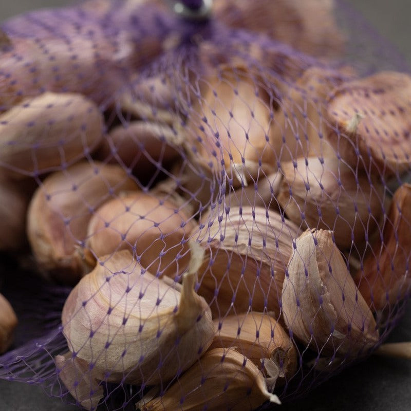 Fresh Garlic | Australian Purple