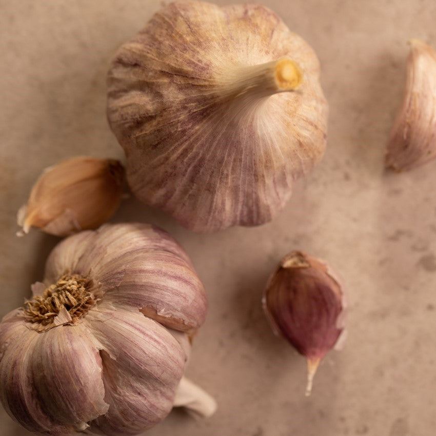 Fresh Garlic | Australian Purple