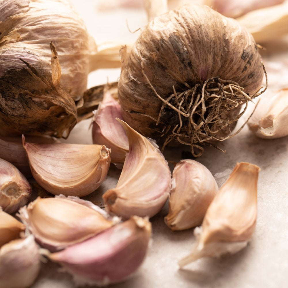 Fresh Garlic | Australian Purple